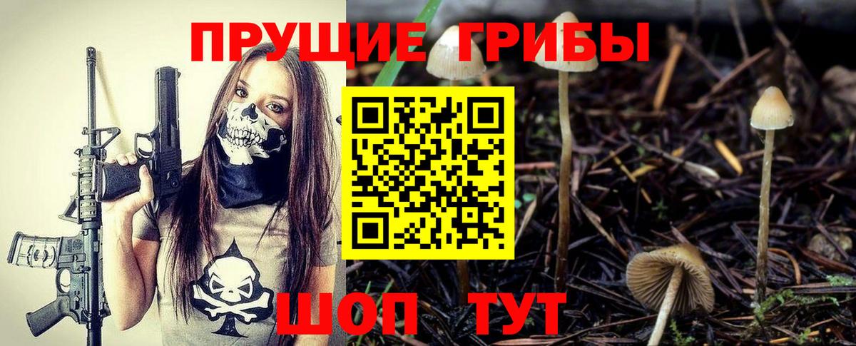 Галлюциногенные грибы MAGIC MUSHROOMS Отрадный